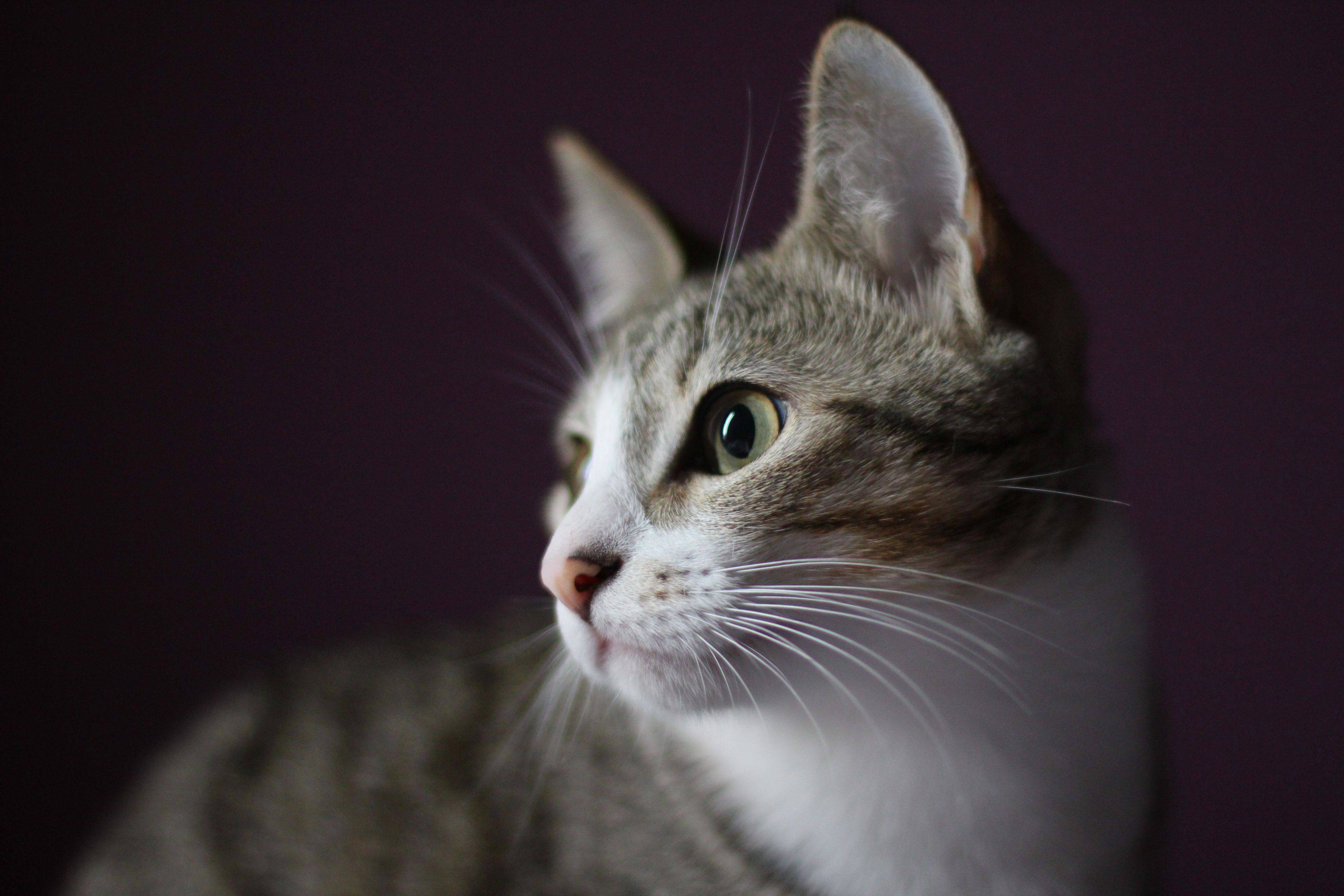 1920 x 1080 HD Wallpapers 2293